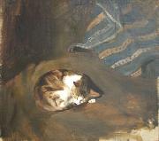 Paul Raud Sleeping cat by Paul Raud oil painting on canvas